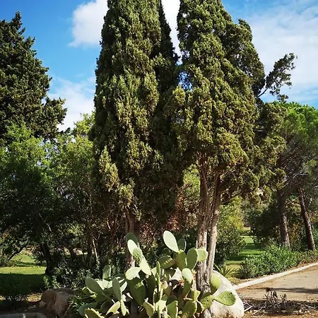 Apartmán Cala Sultana -baie Santa Giulia - Rez Jardin 1ere Ligne