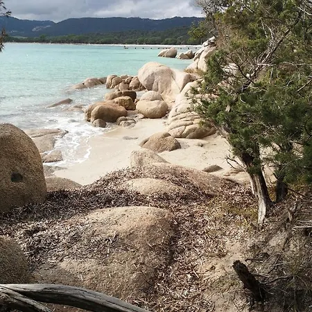 Cala Sultana -baie Santa Giulia - Rez Jardin 1ere Ligne