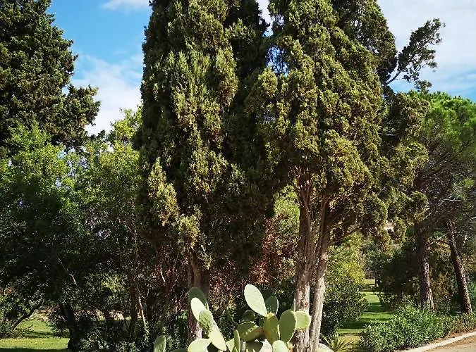 公寓 Cala Sultana -baie Santa Giulia - Rez Jardin 1ere Ligne