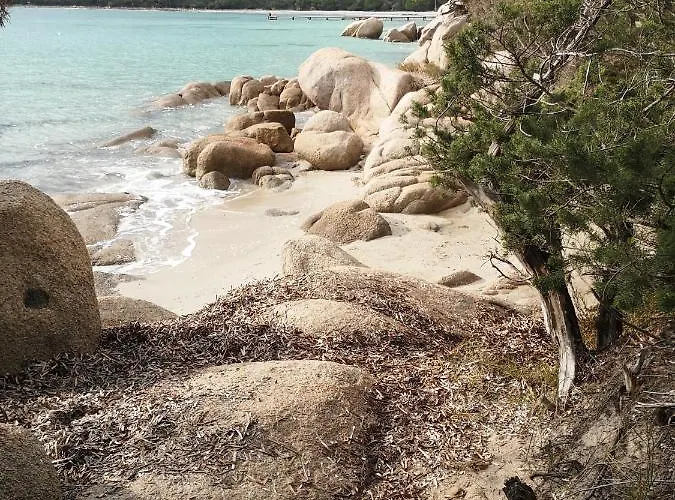 Cala Sultana -baie Santa Giulia - Rez Jardin 1ere Ligne