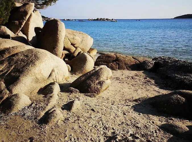 公寓 Cala Sultana -baie Santa Giulia - Rez Jardin 1ere Ligne *